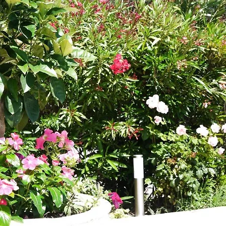 Avec Piscine Dans Un Quartier Calme A 103371 Apartman Fréjus